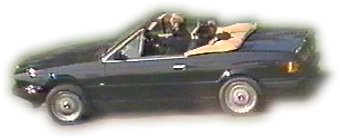 maserati.jpg (9447 bytes)